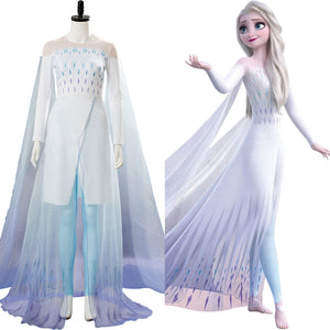 elsa frozen costume adults uk