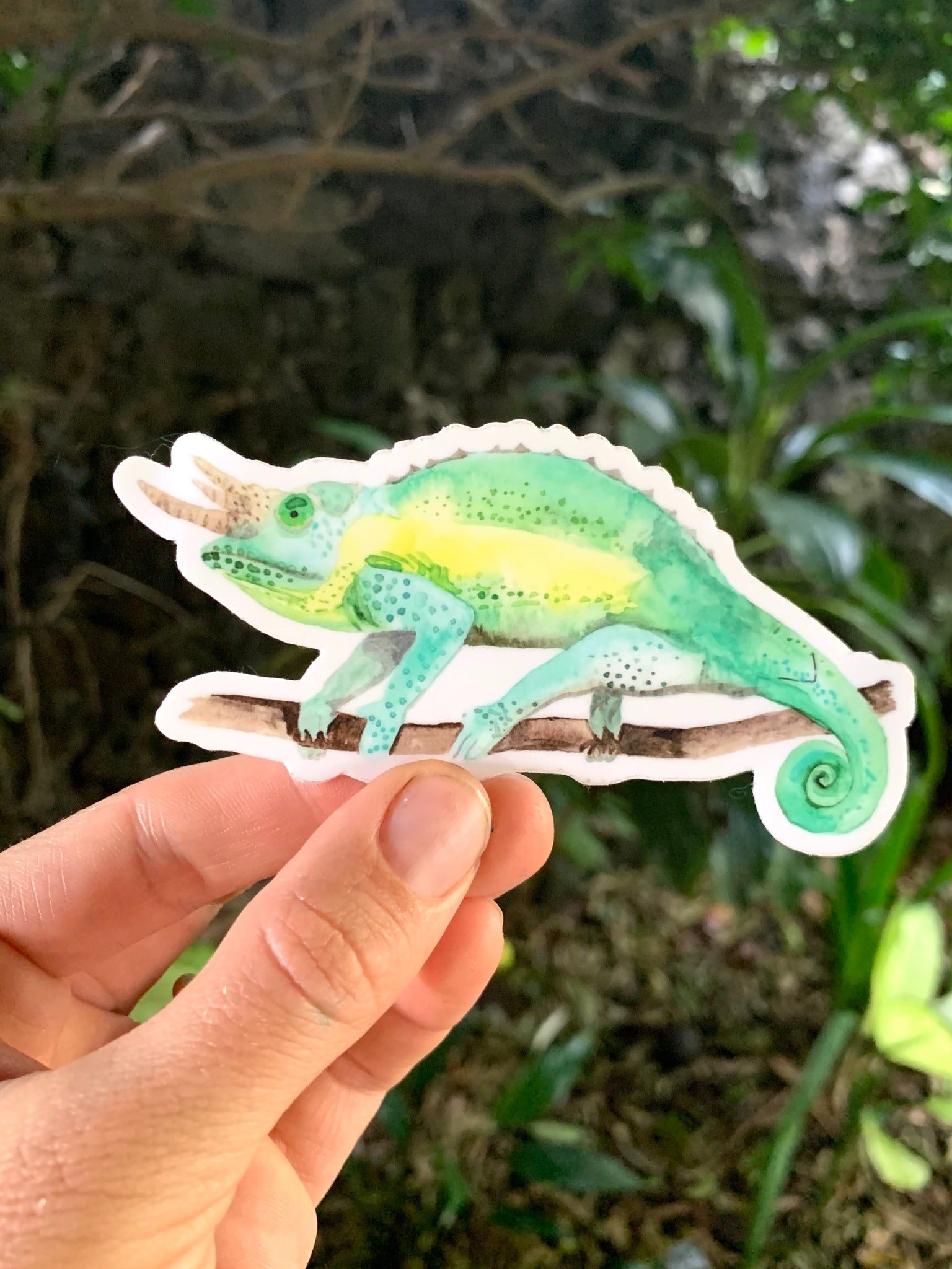 jackson chameleon plush