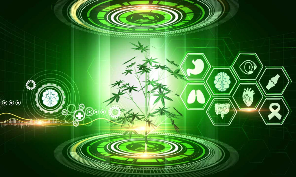 Cannabis vs The Metaverse. How cannabis could play out in the metaverse.