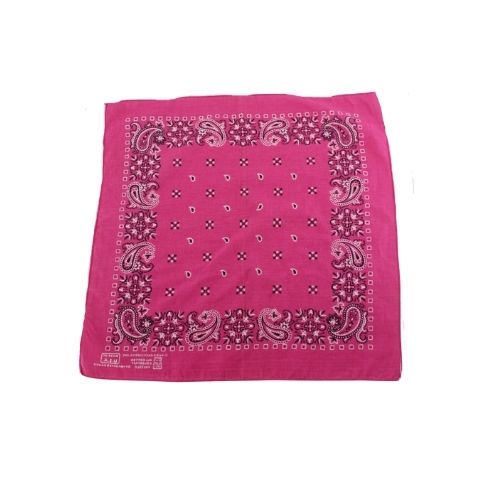 Vintage "Pink" Bandana - ramanujanitsez