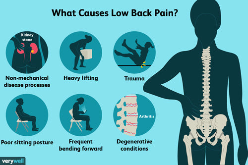 what causes low back pain