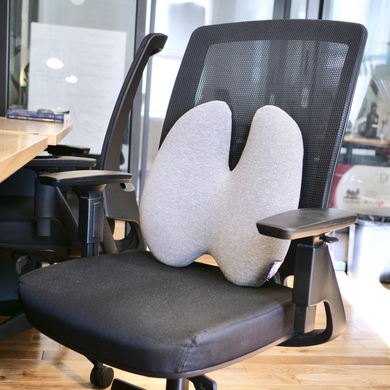 Ergonomic Lumbar Support Pillow - Cushion Lab