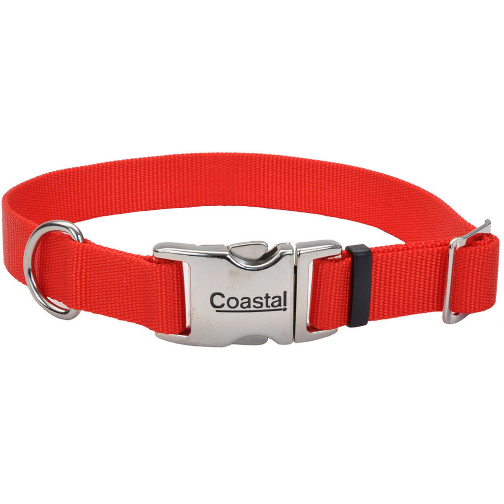 dog collar without buckle