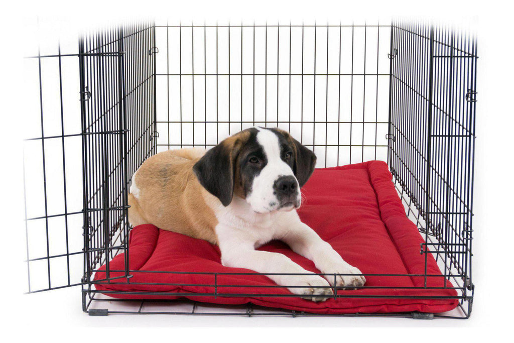 indestructible dog crate pad