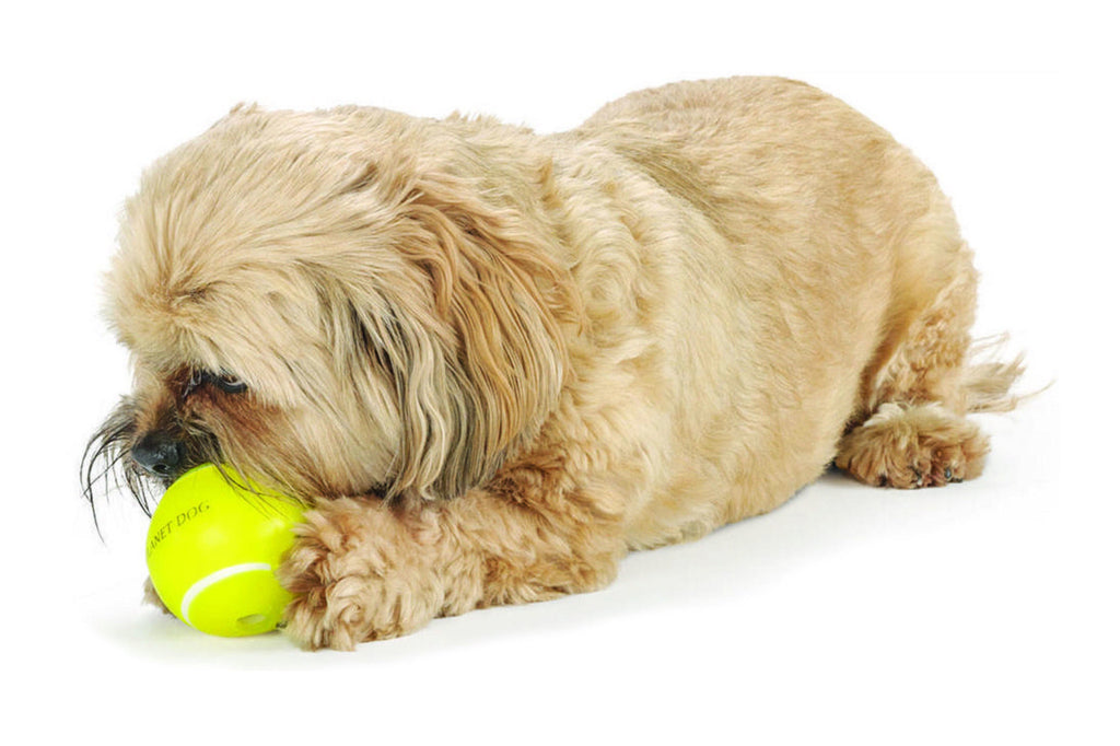 indestructible dog tennis ball
