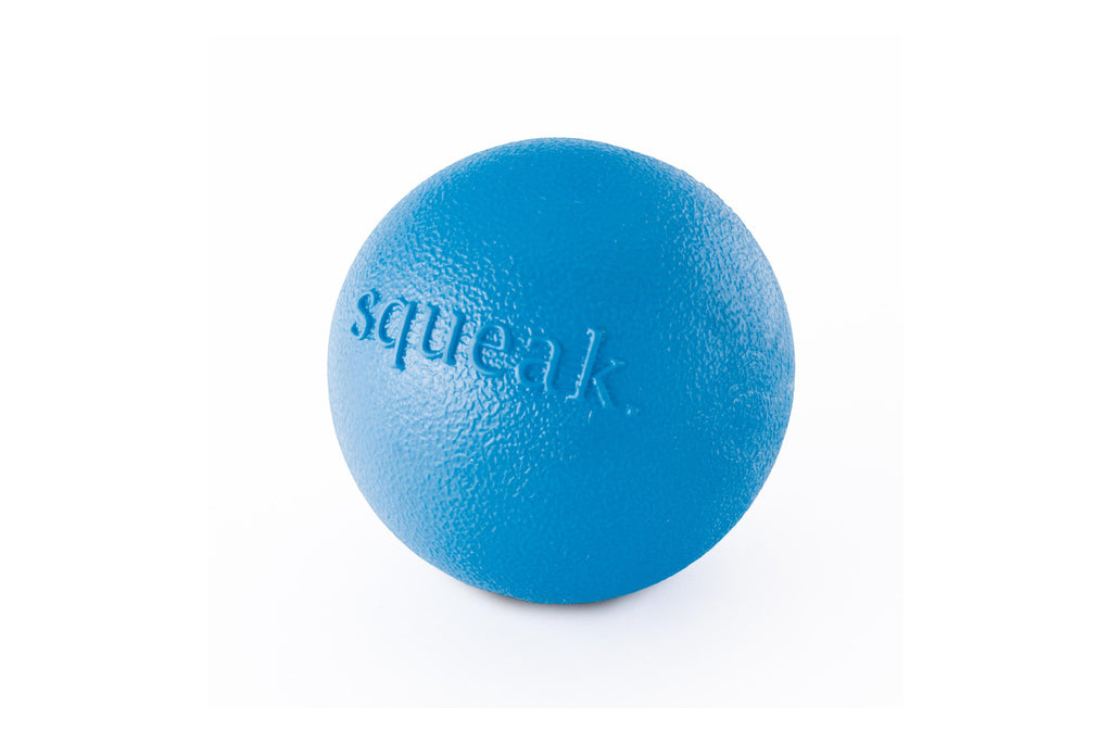 blue ball dog toy