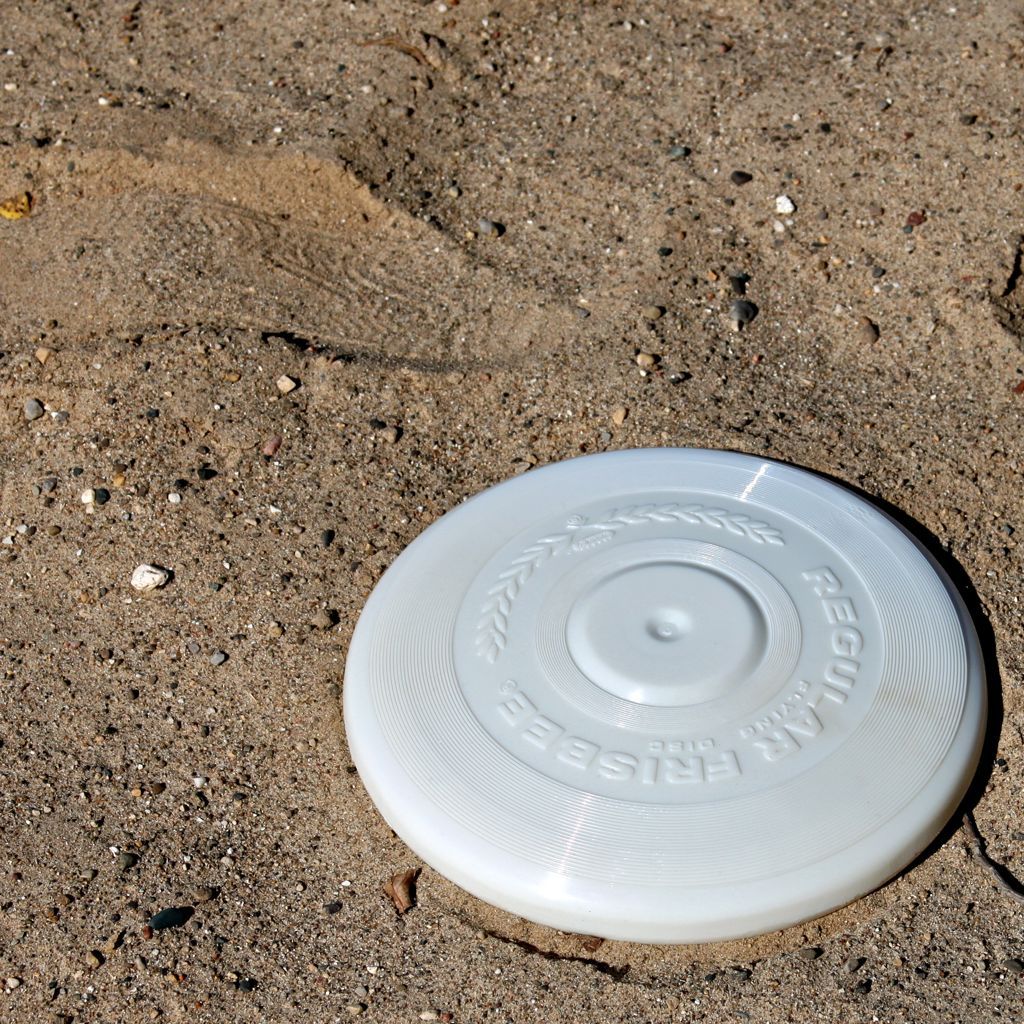 nylabone frisbee discontinued