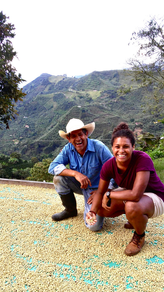 Colombie 2017 : Etape de séchage du grain de café vert avant d’être torréfié. Nous voilà avec un cultivateur en agriculture bio dans la région d’Antioquia.