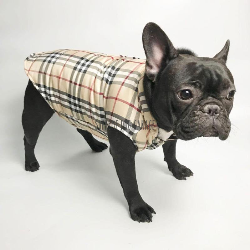 burberry dog harness vest