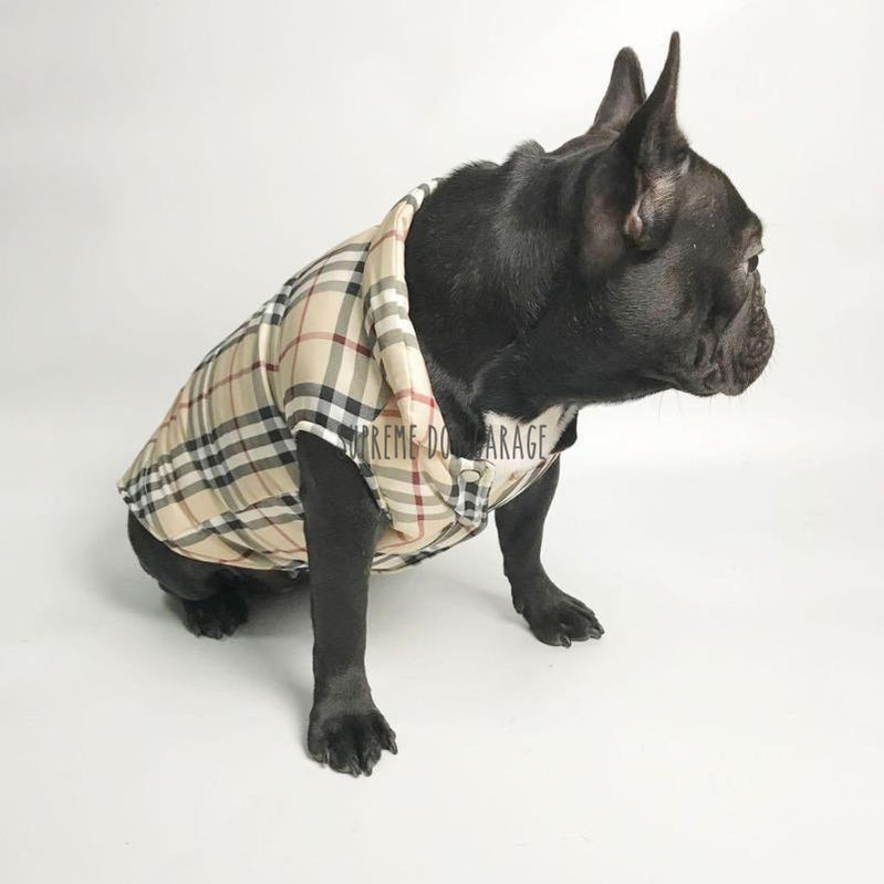 burberry dog raincoat