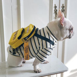 unique dog clothes