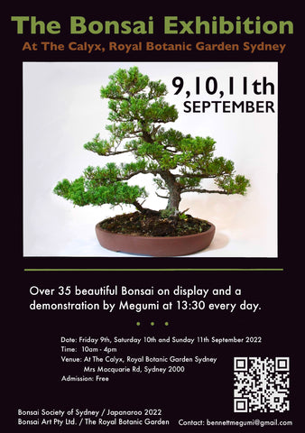 Calyx Bonsai Exhibition Flyer (front)