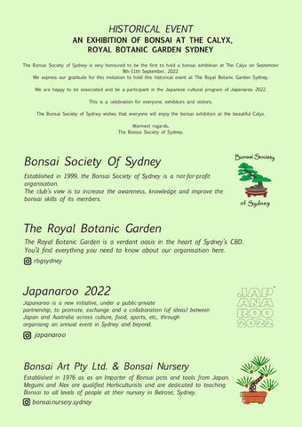 Calyx Bonsai Exhibition Flyer (back)