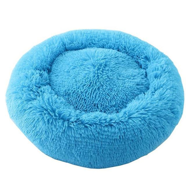 teal cat bed