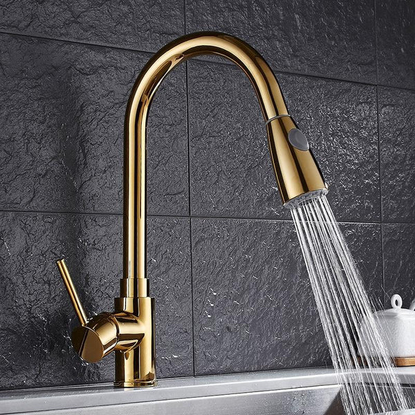 Anton Retractable Kitchen Faucet Warmly   Product Image 725779540 Grande 