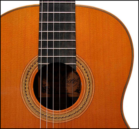 spansk guitar
