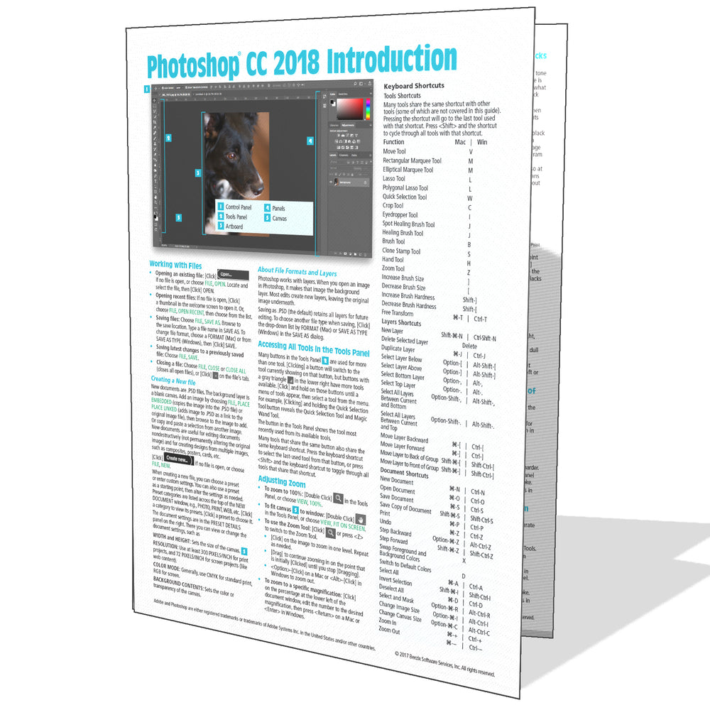 Adobe Photoshop CC 2018 Introduction Quick Reference Card - Beezix