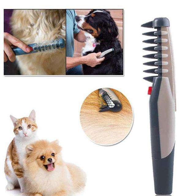 electric dog brush