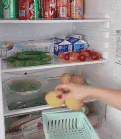 Refrigerator Partition Storage Rack – krystalshine.com