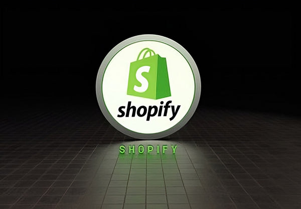 seo shopify