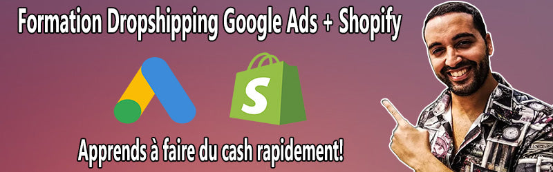 formation dropshipping google ads shopify