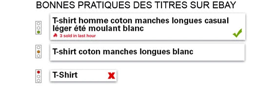 comment optimiser les titres des annonces sur eBay