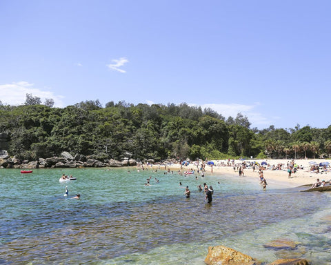 Shelley Beach Manly