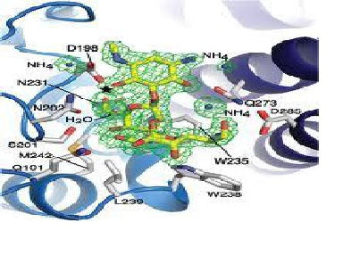 antibiotic, gene selection, hygromycin b, media, aminoglycoside