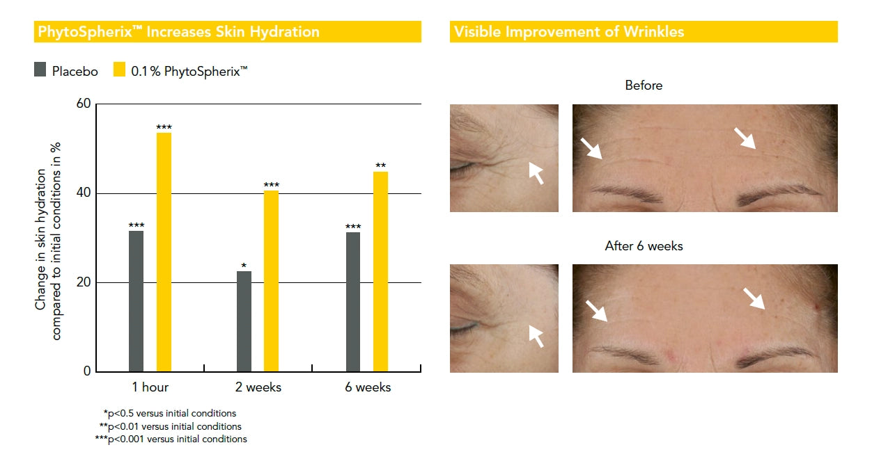 Veriphy Skincare | PhytoSpherix® Visual Improvement of Wrinkles