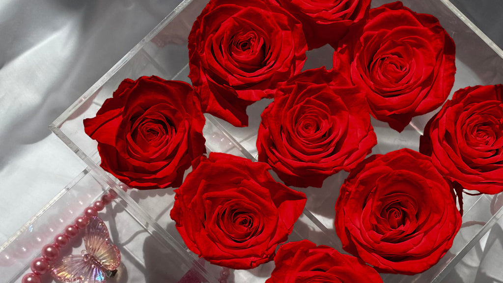 preserved red roses