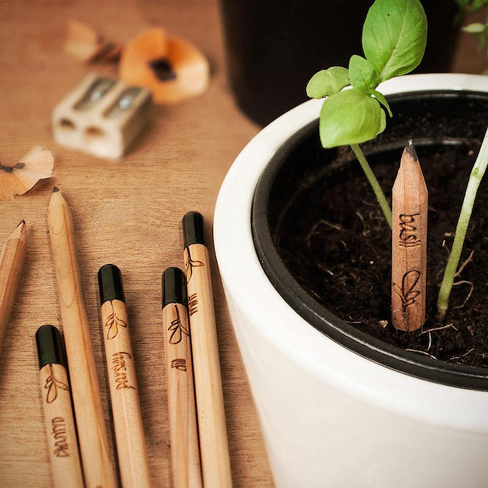 Grow Pencil: a pencil you can plant (Set of 8)