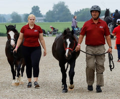 Leading two horses