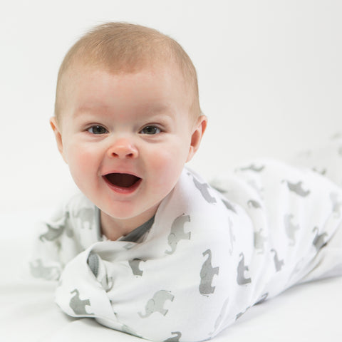 Transitional Swaddle Sack Baby