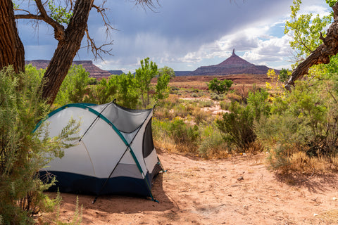 Camping in Moab.
