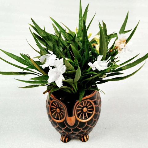 black owl ceramic planter