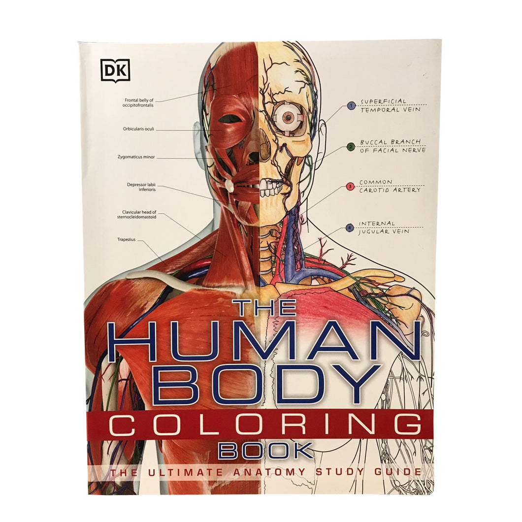 Download The Human Body Coloring Book Black Ink Boston