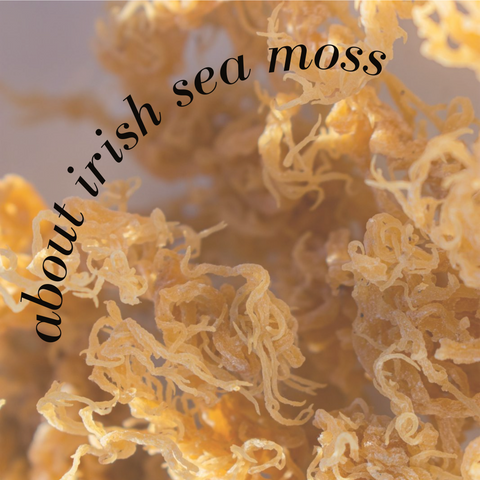 Irish Sea Moss