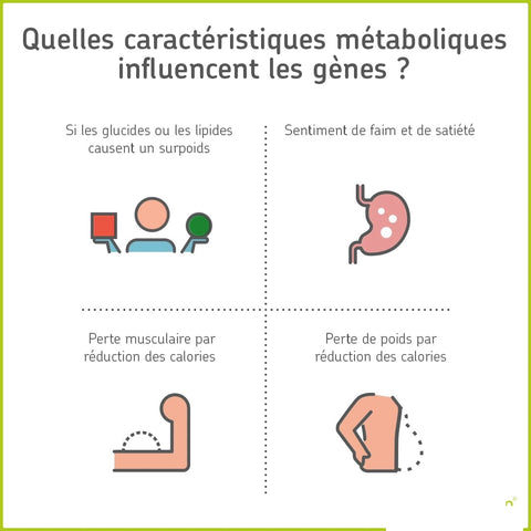 Métabolisme - quelles caractéristiques métaboliques influencent les gènes?
