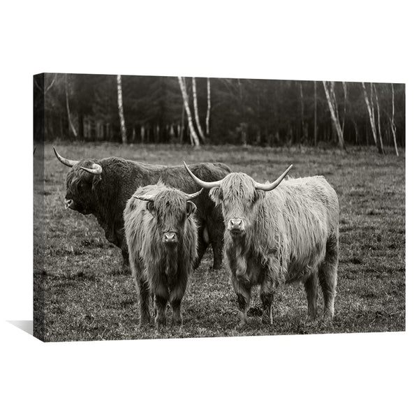 Curious Cows Canvas Art Clock Canvas