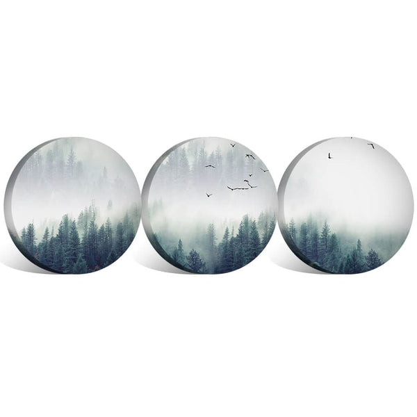 Forest Landscape- Circle Canvas Art Set of 3 / 40 x 40cm / Standard Gallery Wrap Clock Canvas