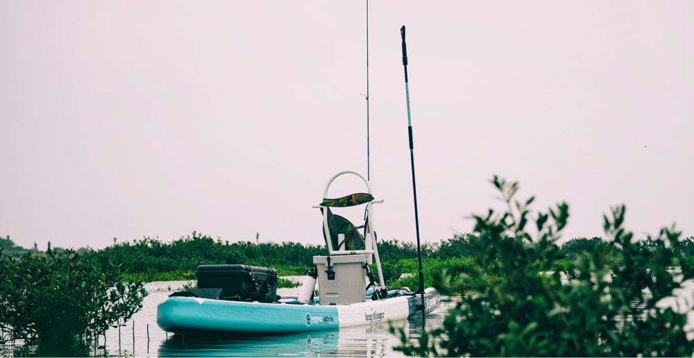 Learn to Fly Fish on a SUP