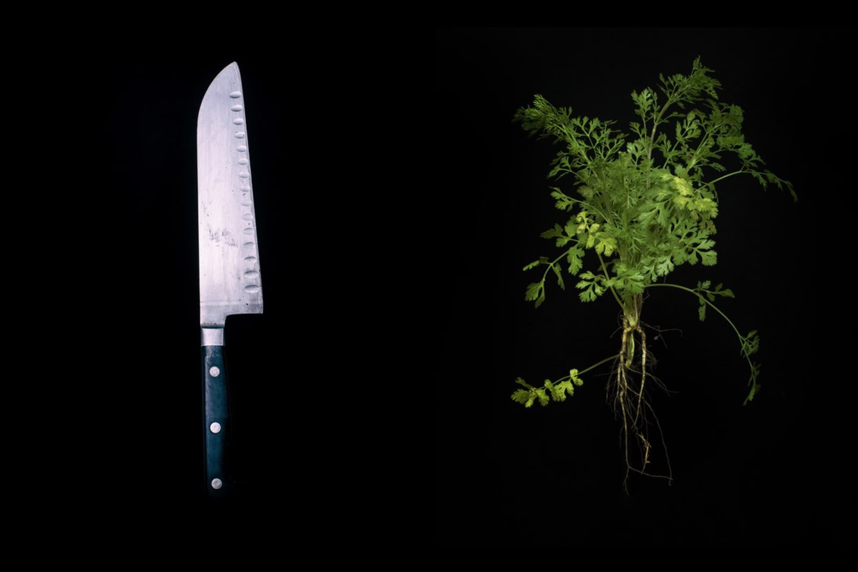 Cooking knife and herbs