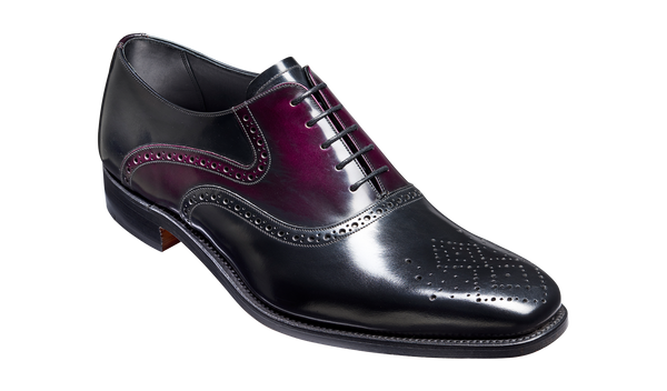 aubergine shoe polish