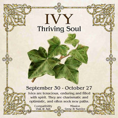 Celtic Tree Zodiac - IVY, The Thriving Soul September 30-October 27