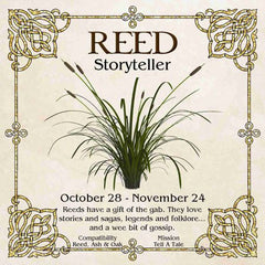 Celtic Tree Zodiac - REED, The Storyteller October 28 - November 24