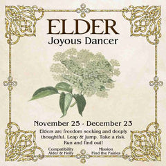 Celtic Tree Zodiac - ELDER, The Joyour Dancer November 25-December 23