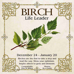 Celtic Tree Zodiac - BIRCH, The Life Leader December 24-January 20
