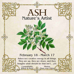 Celtic Tree Zodiac - ASH, Nature's Artist - February 18-March 17