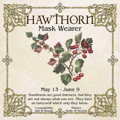 Celtic Tree Zodiac - HAWTHORN, Mask Wearer May 13-June 9