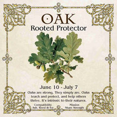 Celtic Tree Zodiac - OAK, The Rooted Protector June 10 - July 7